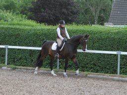 img_4621_web